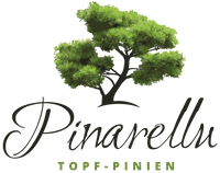Pinarellu-WEB