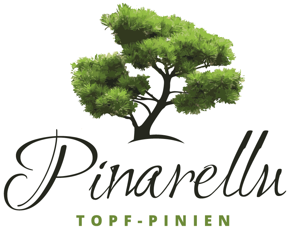 Yamadori Bonsai Pinien Startseite
